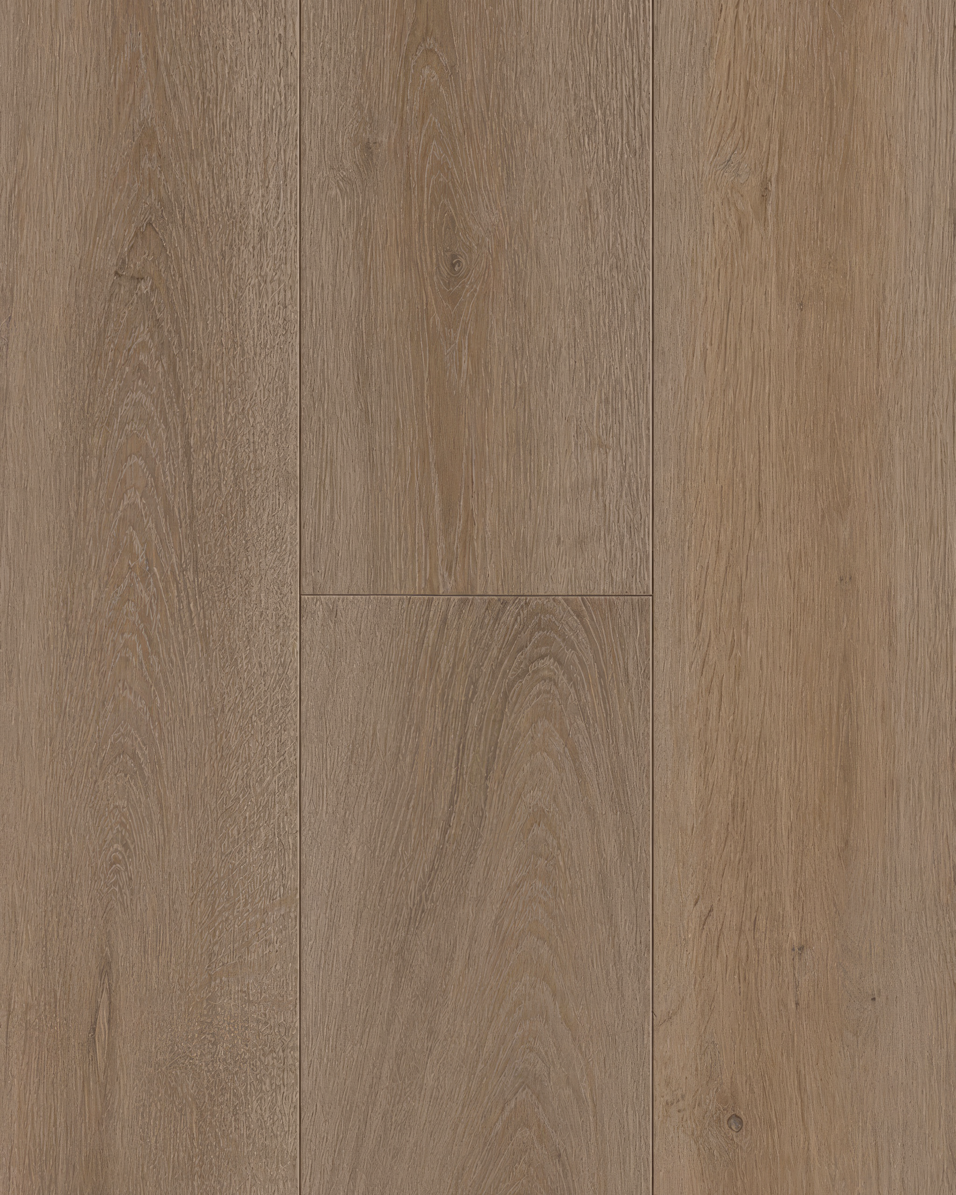 Monica Grey — Plank