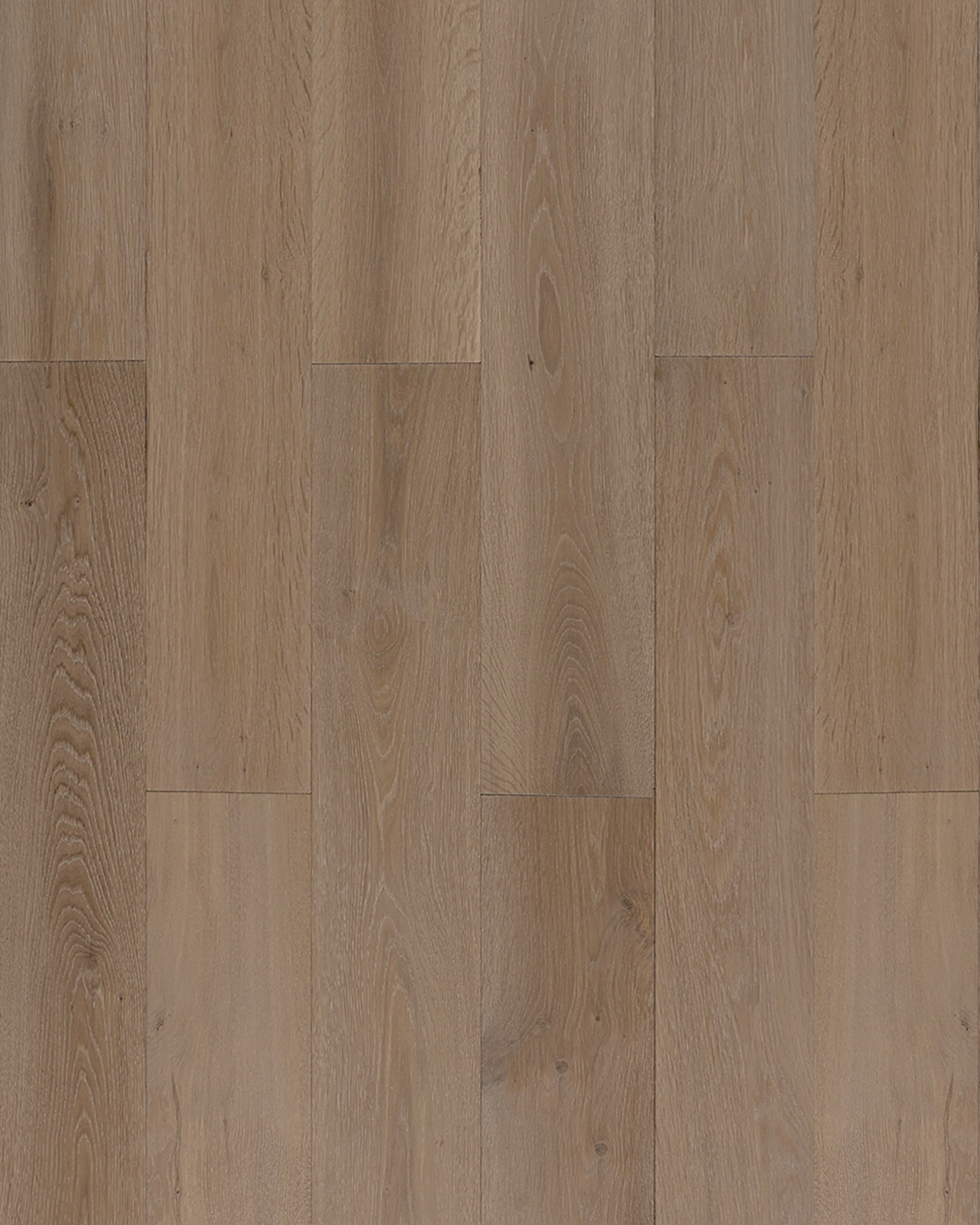 Monica Grey — Plank
