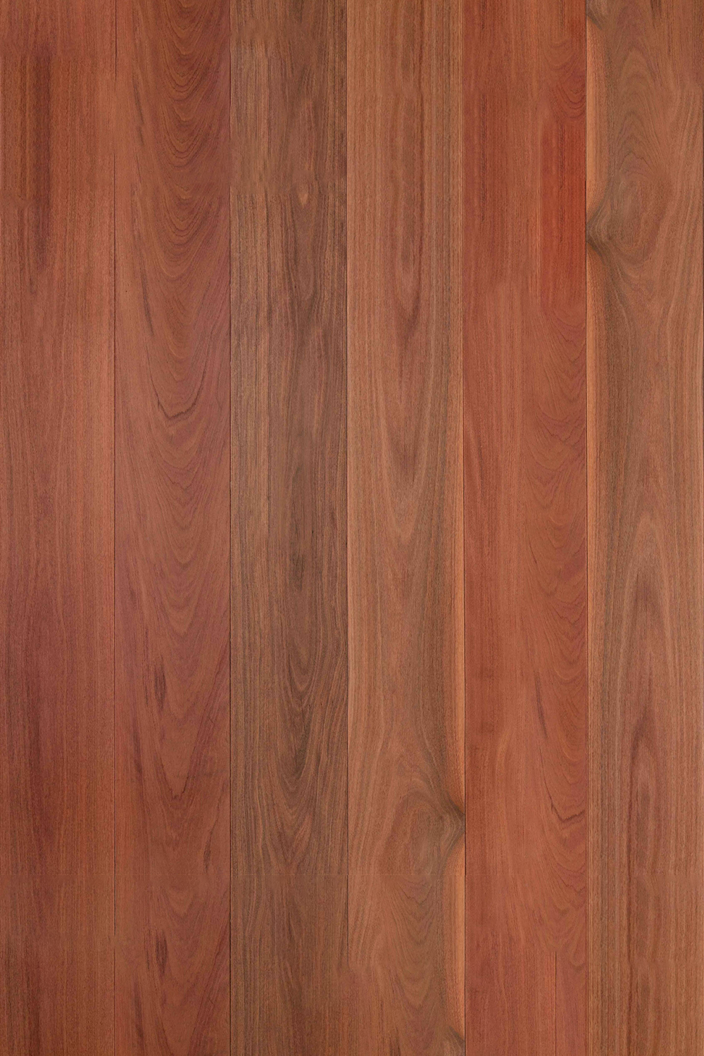 Brush Box — Plank 136mm