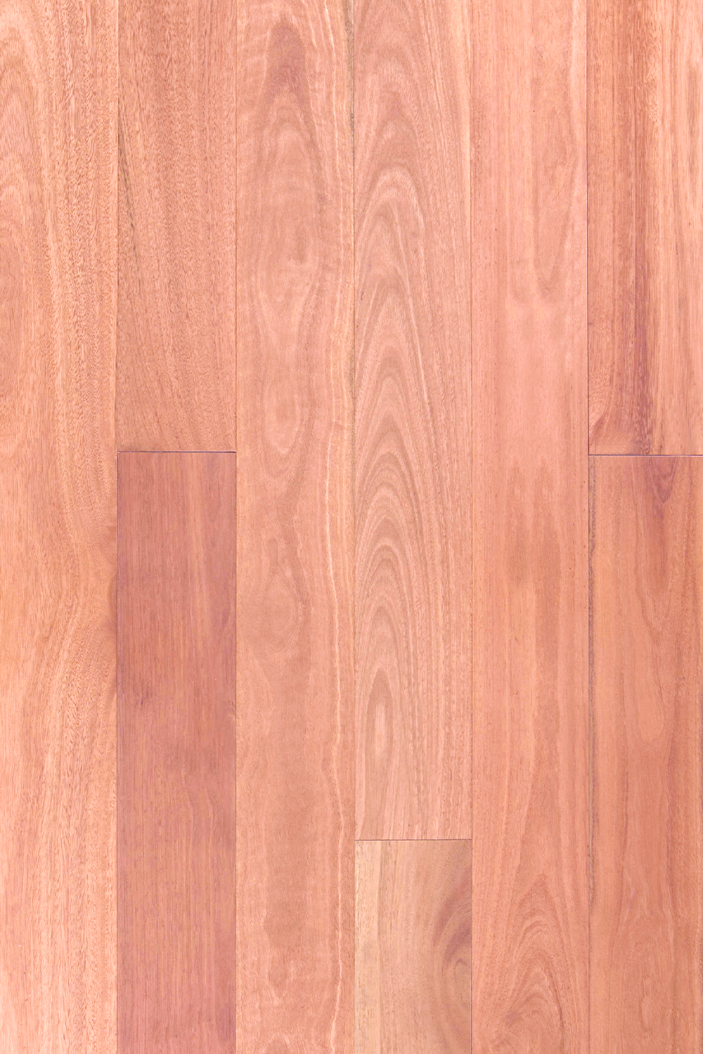 Sydney Blue Gum — Plank 190mm