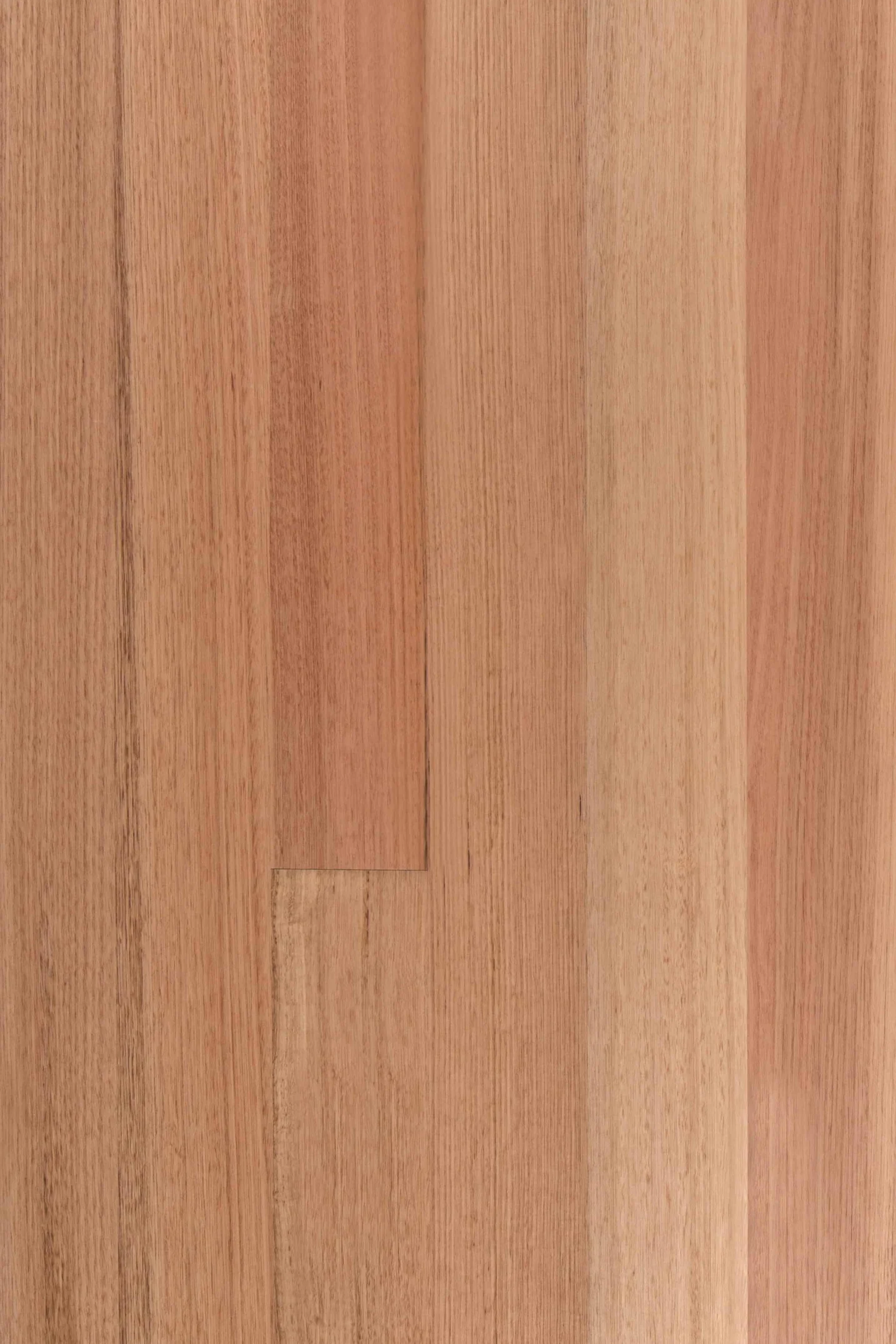 Tasmanian Oak — Plank