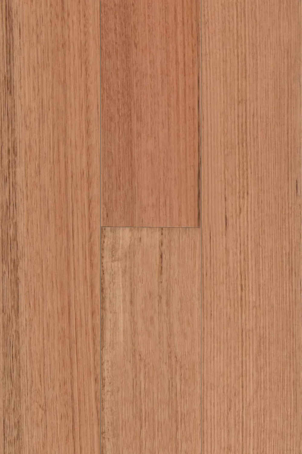 Tasmanian Oak (136mm)